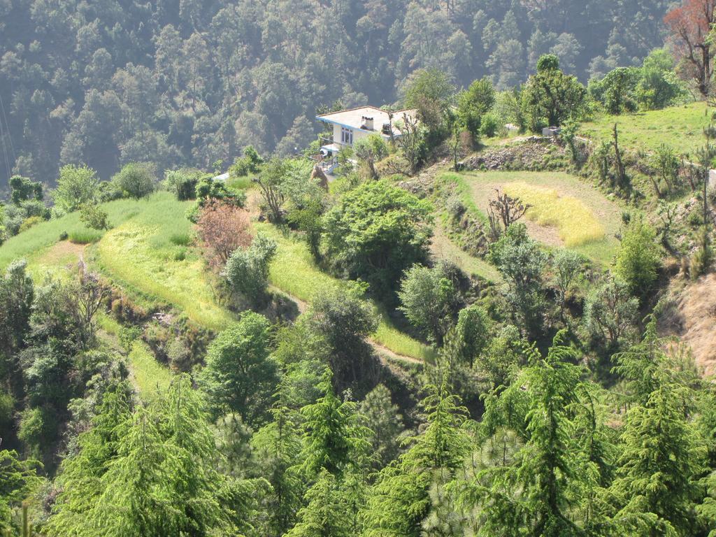 Shimla Nature Ville Luaran gambar